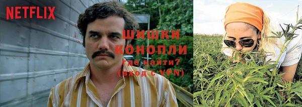 PSILOCYBIN Абинск
