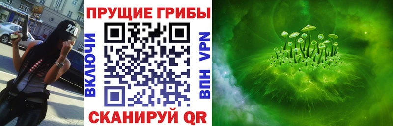 Галлюциногенные грибы Psilocybine cubensis  Заринск 
