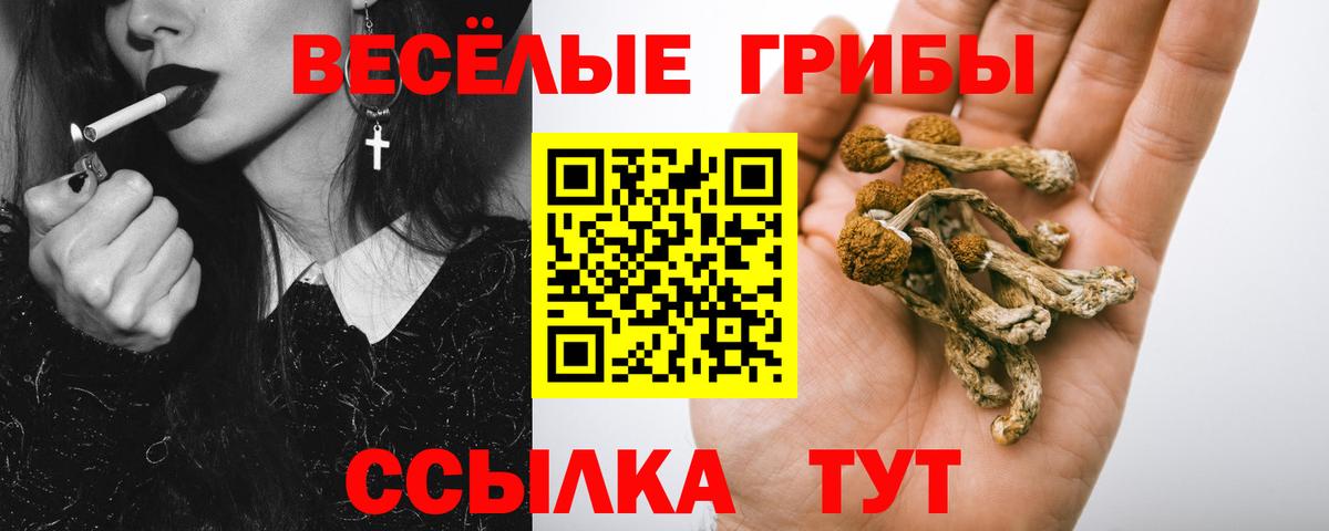 Заринск  Псилоцибиновые грибы GOLDEN TEACHER  Псилоцибиновые грибы ЛСД  Вход с VPN 
